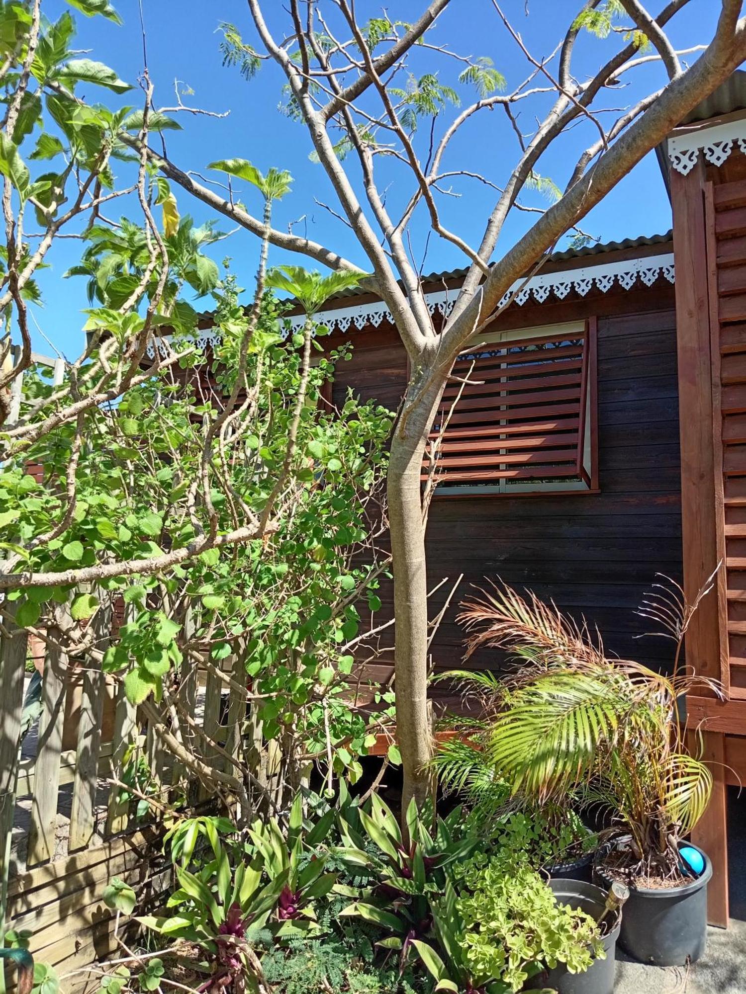 הוילה סיינט ג'וזף Location Bord Ocean, Holi-Wood מראה חיצוני תמונה